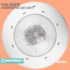 Waterway-2043-18w-3 Lampu Kolam Renang LED W2043 12 Watt